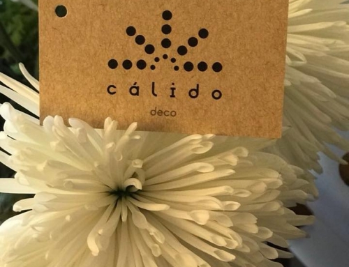 Calido