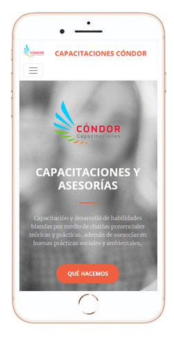 diseño-web-condor