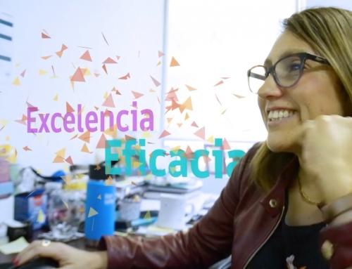 Motion Comunicaciones Internas